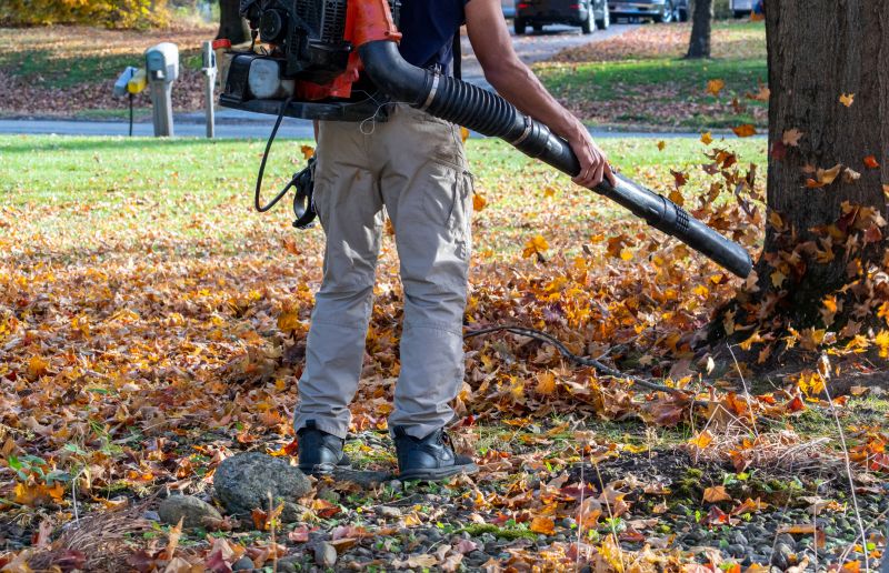 Leaf Blowing Service