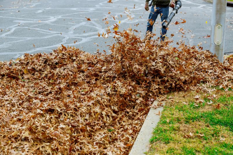 Pre-Winter Leaf Removal