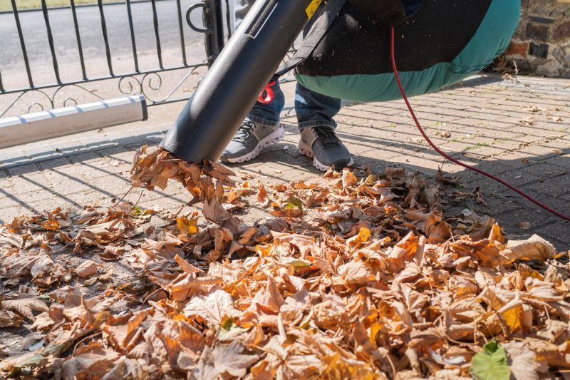Leaf Blowing Service