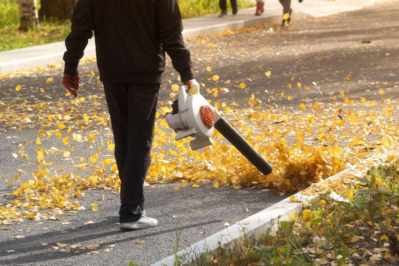 Leaf Blowing Service