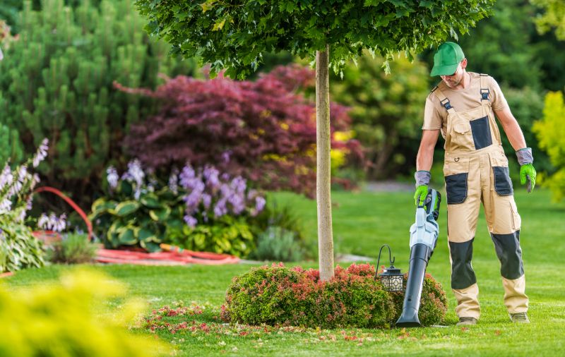Licensed Landscaping Experts