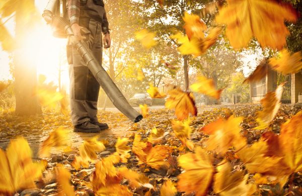 Grow your Leaf Blowing Service business